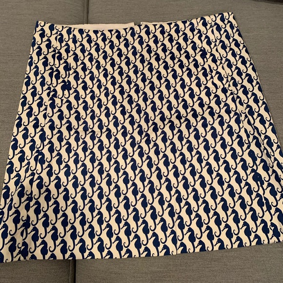 JCrew Skirt. - Picture 1 of 3
